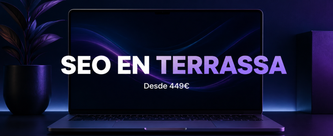 SEO o Google Ads en Terrassa | Qué Conviene